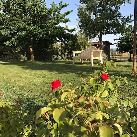 Country House Podere Le Rane Felici Fauglia Bagian luar foto