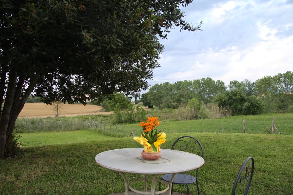 Country House Podere Le Rane Felici Fauglia Bagian luar foto