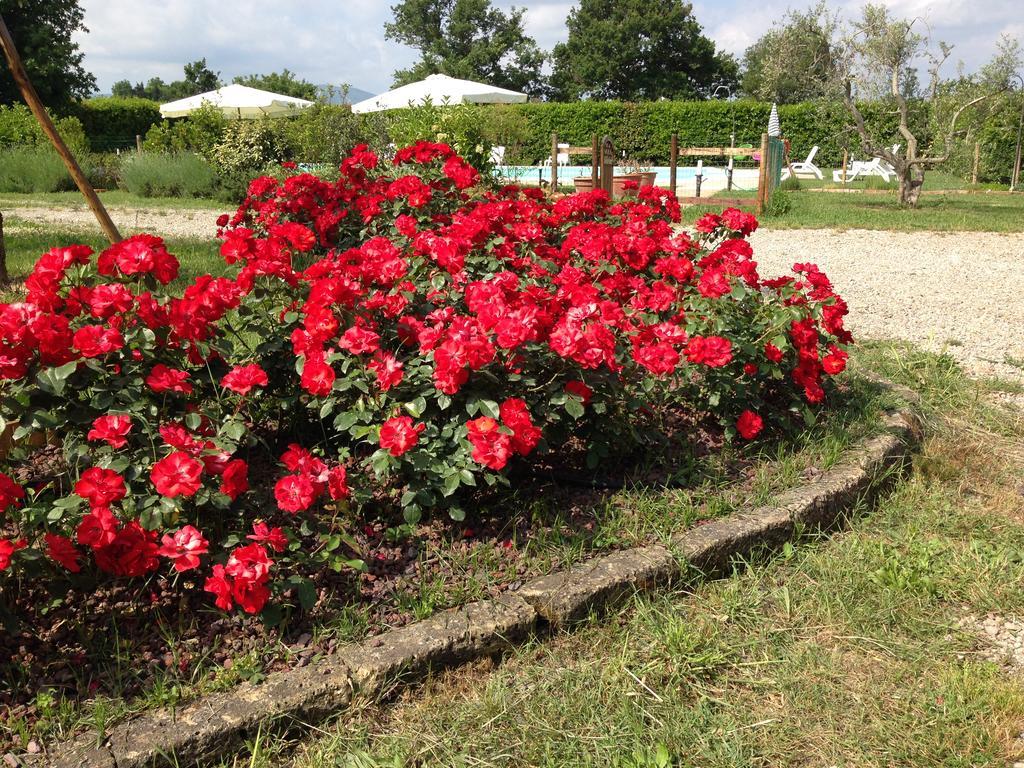 Country House Podere Le Rane Felici Fauglia Bagian luar foto